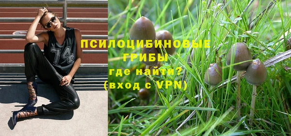 хмурый Балахна